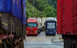 Thủ tướng yêu cầu không để tình trạng ùn tắc hàng hóa, nông sản tại cửa khẩu