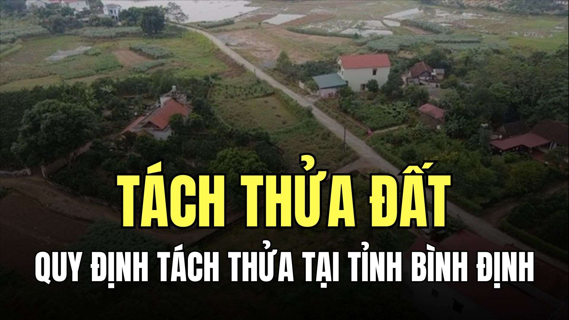 Diện tích tối thiểu để tách thửa đất tỉnh Bình Định. Đồ họa: Trà My