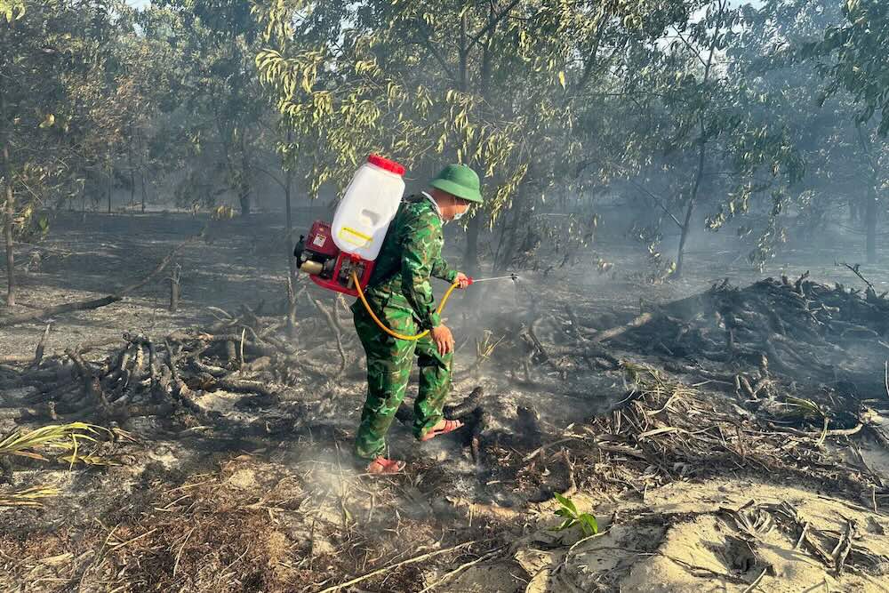 Los incendios del bosque de Melaleuca en Phong Dien, dañaron muchas hectareas.