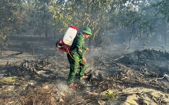 Cháy rừng tràm ở Huế, thiệt hại nhiều hecta