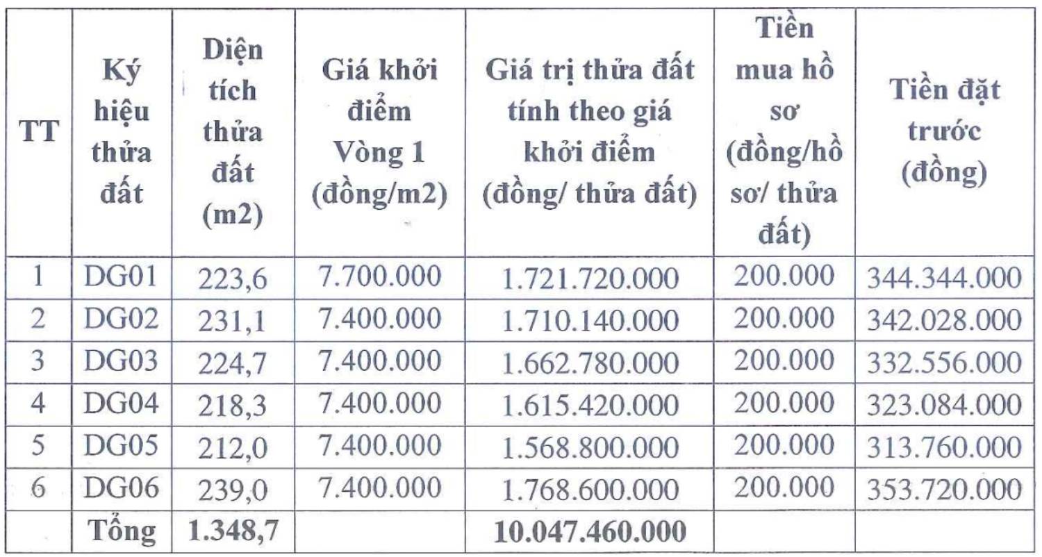 Thong tin 6 thua dat huyen Ung Hoa, Ha Noi. Anh: Cong ty Dau gia Hop danh Lac Viet