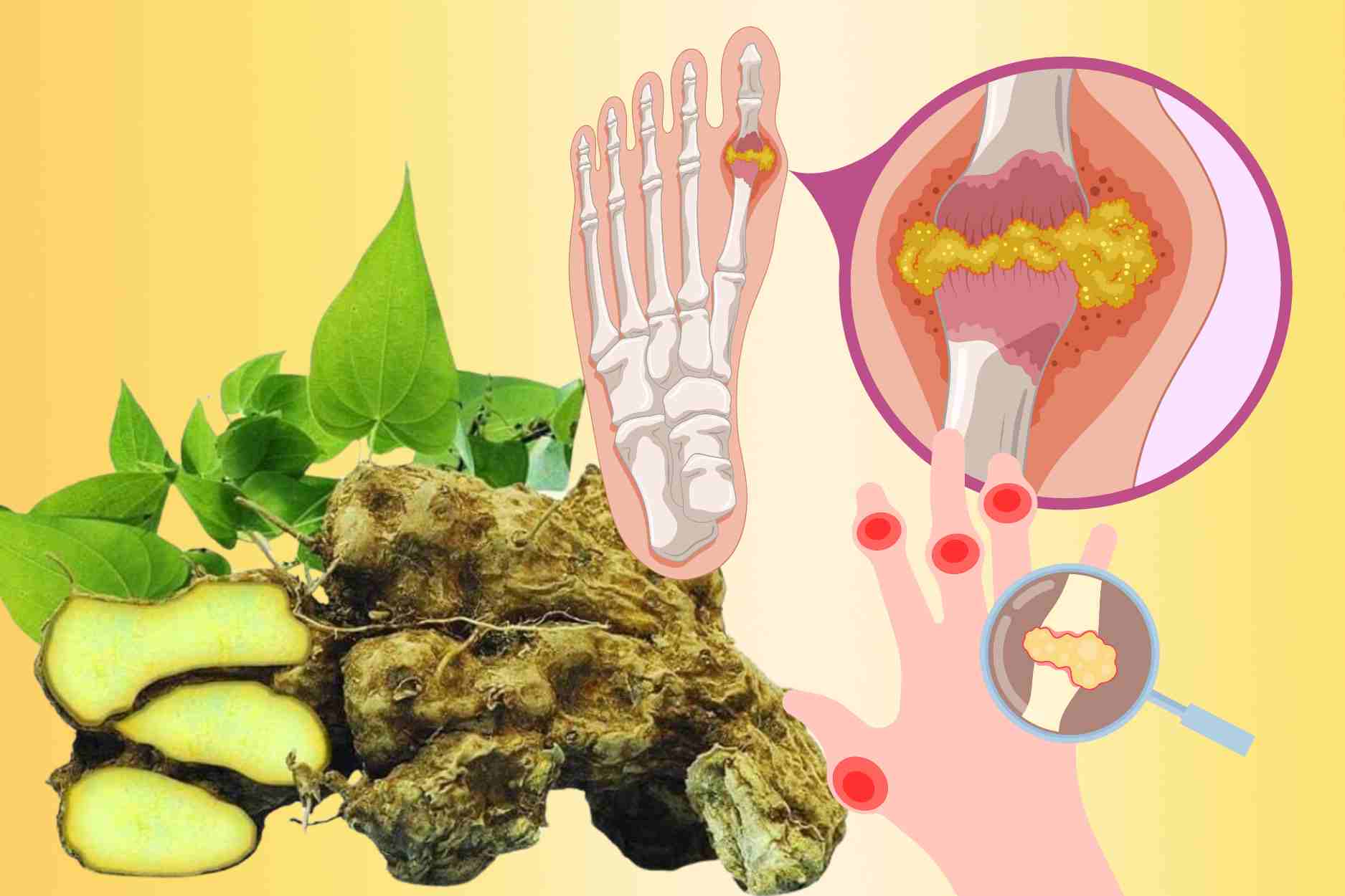 Las plantas medicinales salvajes en la montaña pueden ayudar a controlar el acido urico