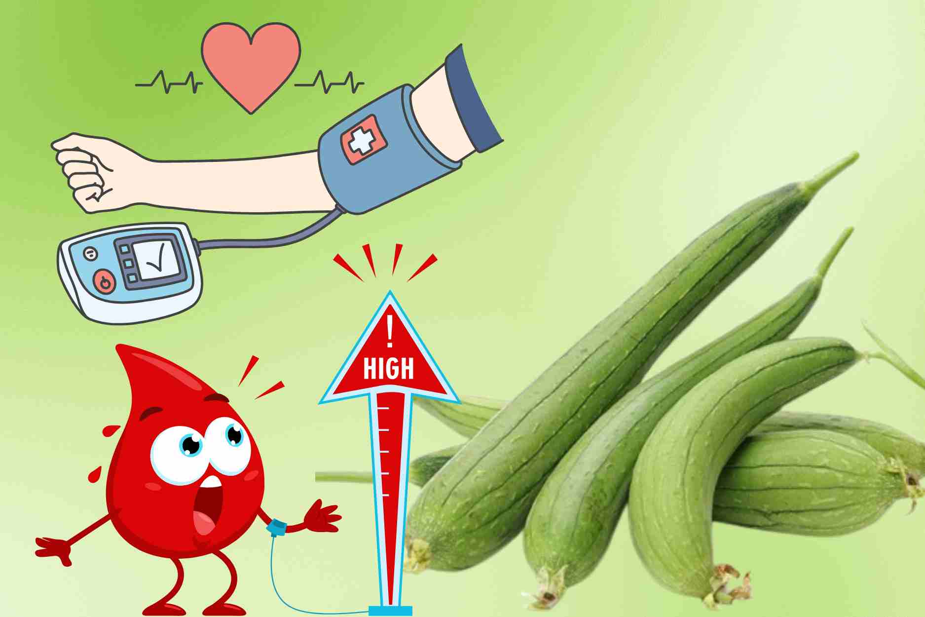 Reasons why people with high blood pressure can eat squash to improve their health