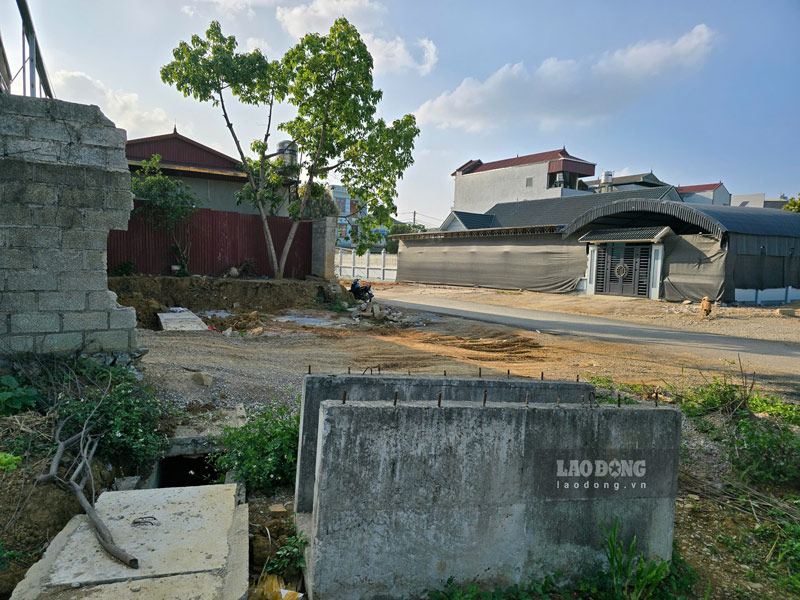 Cac hang muc dung im, vat lieu hoen gi. Anh: Tan Van