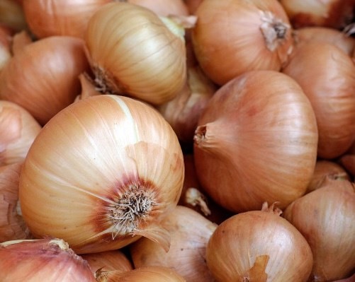 Celery has been confirmed by many studies to have a positive effect on people with diabetes. Photo: Kieu Vu.