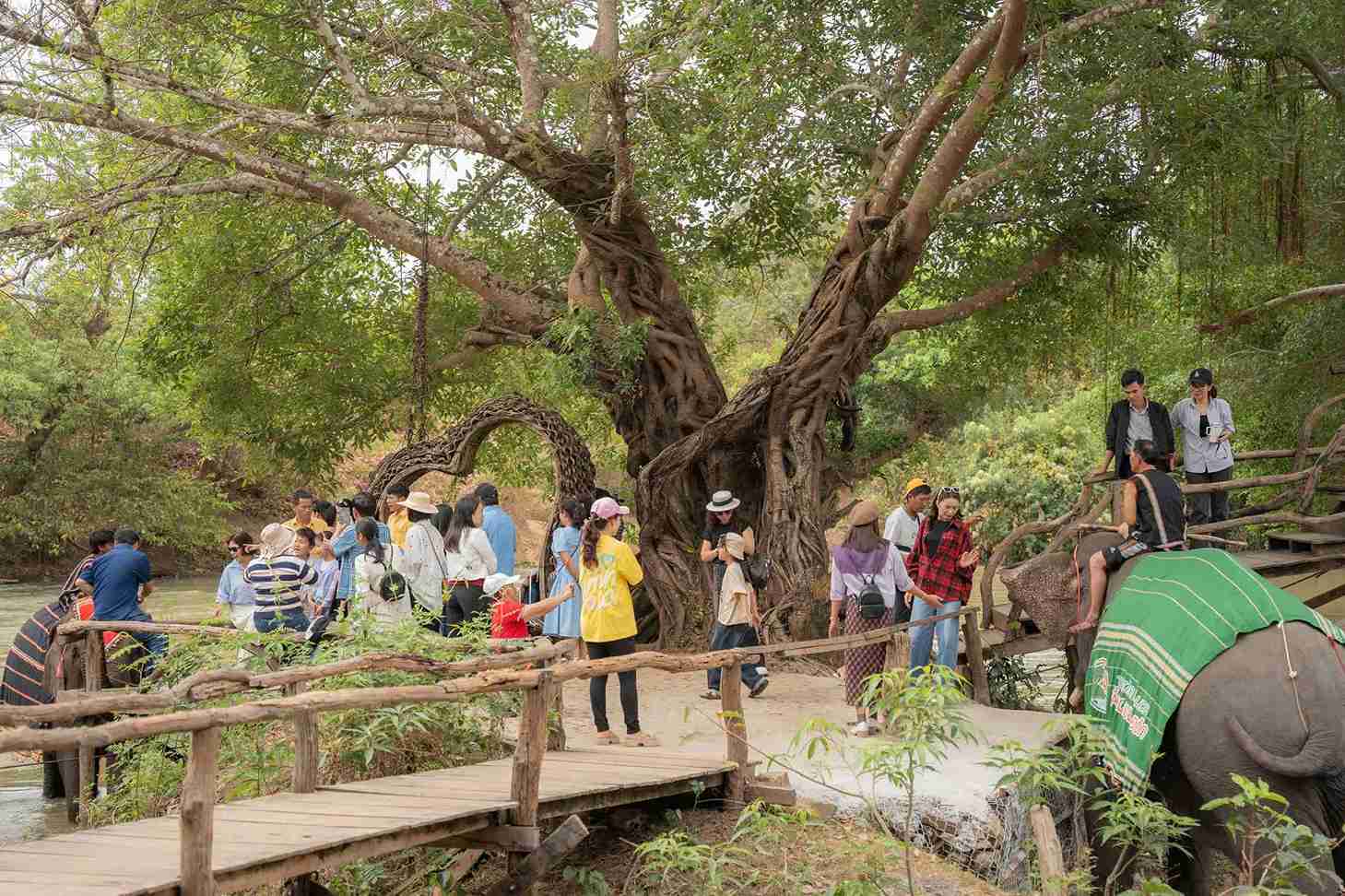 The number of tourists to Dak Lak province increased sharply during the April 30 and May 1 holidays. Photo: Bao Trung