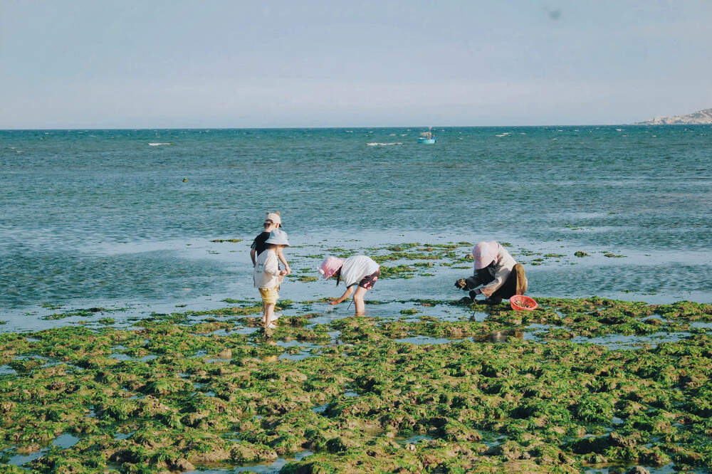 Ninh Thuan welcomed 215,000 visitors during the 5 days off. Photo: Huynh Gia Linh