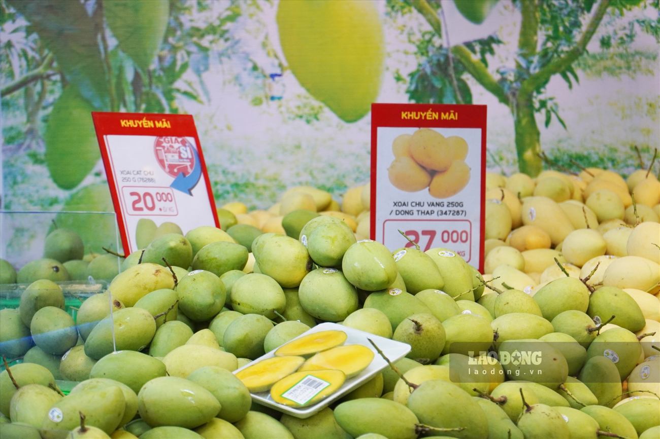 online mangoes have many health benefits. Photo: Ngoc Le