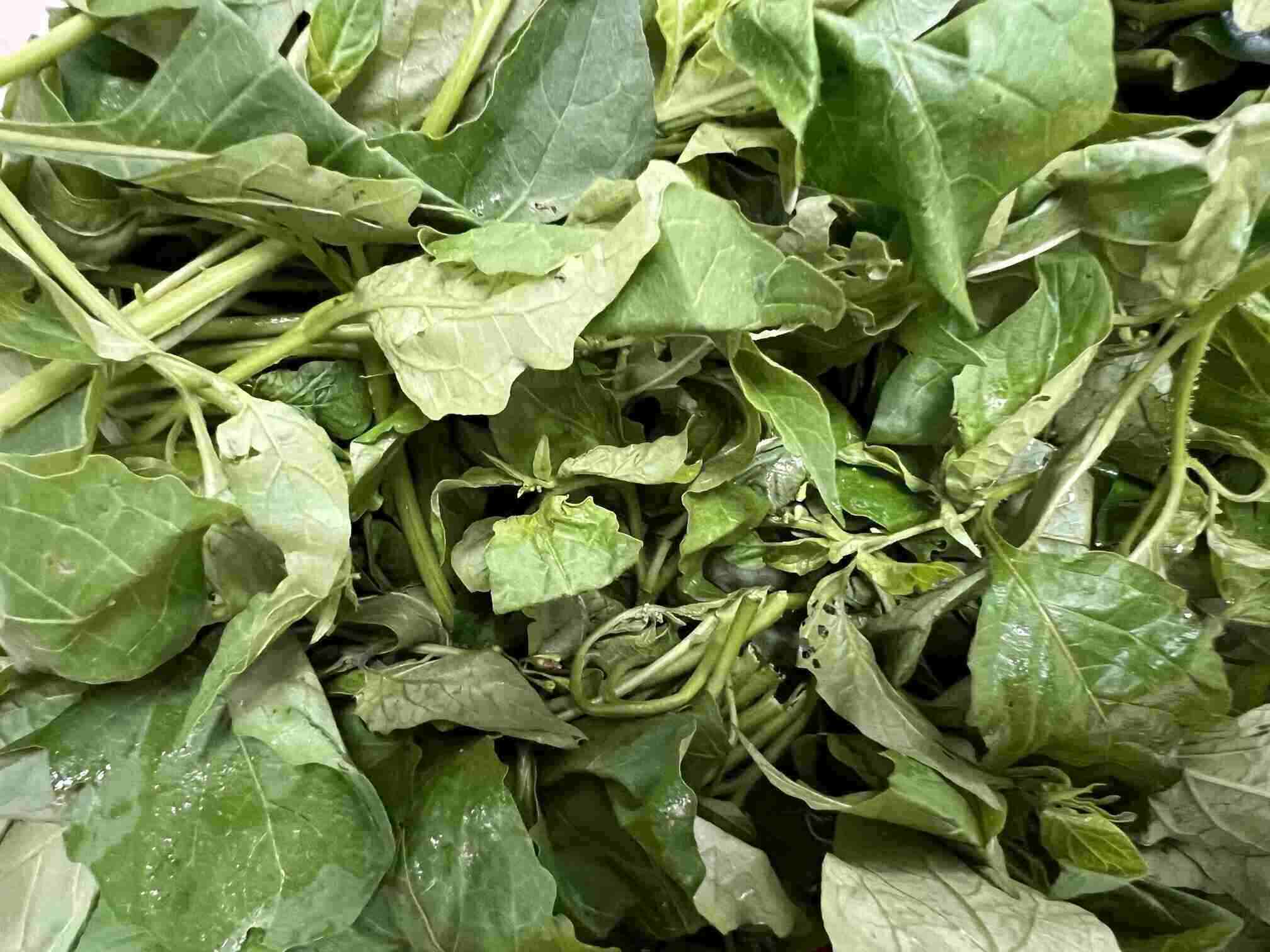 Scheduled water spinach can help lower blood sugar, good for people with diabetes when prepared properly. Photo: Kieu Vu