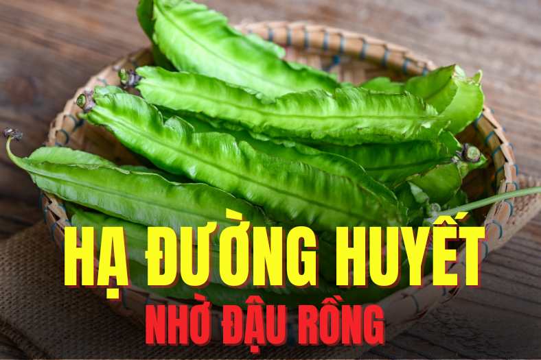 Adding dragon beans to your daily menu can effectively help lower blood sugar. Graphics: Tra My