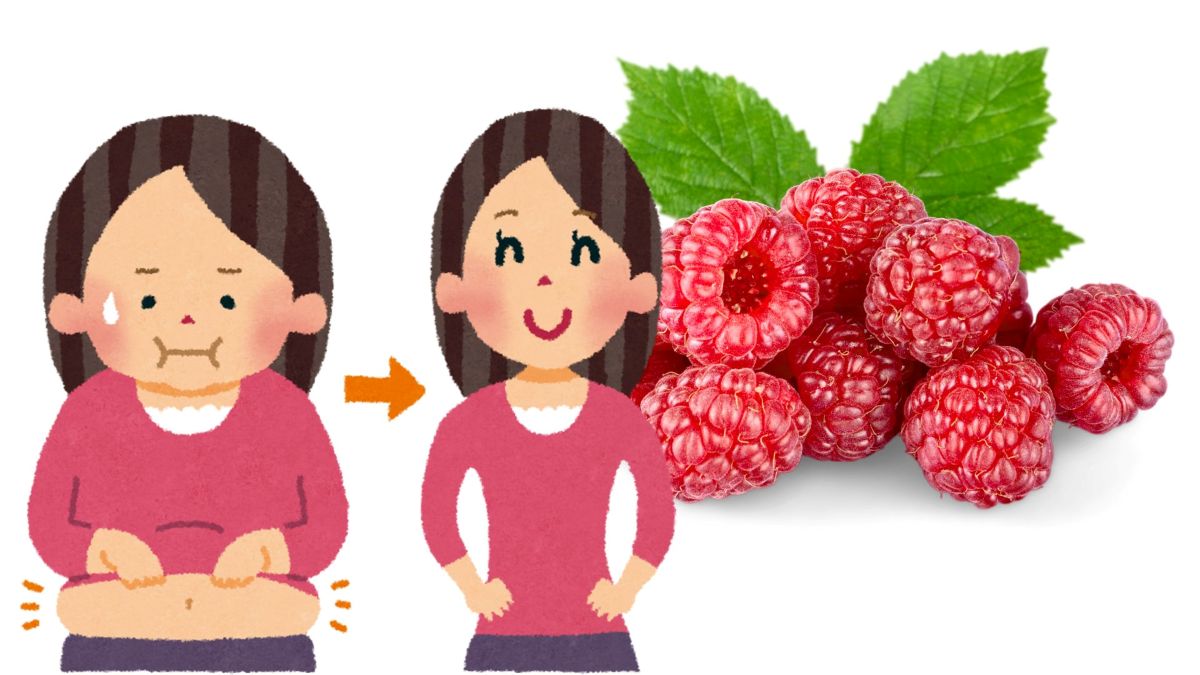 Ăn quả mâm xôi giúp giảm cân hiệu quả. Đồ họa: Thanh Thanh 