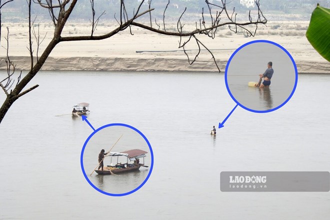 Tháng 5, sông Hồng tại Phú Thọ sẽ tiếp tục cạn trơ đáy