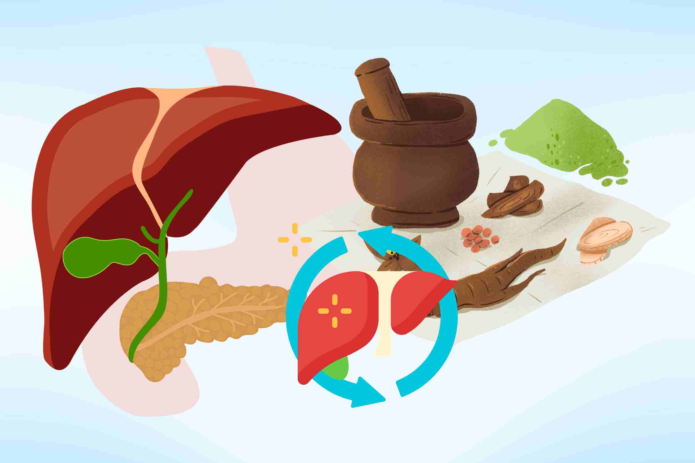 Alimentos congelados para refrescar el higado, barras de calor en verano