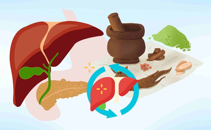 Coriander foods help cool the liver and cool down in hot weather