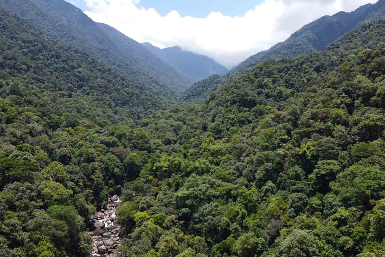 Forest fire prevention and control is being implemented by the Ha Tinh Forest Protection Department. Photo: Tran Tuan.