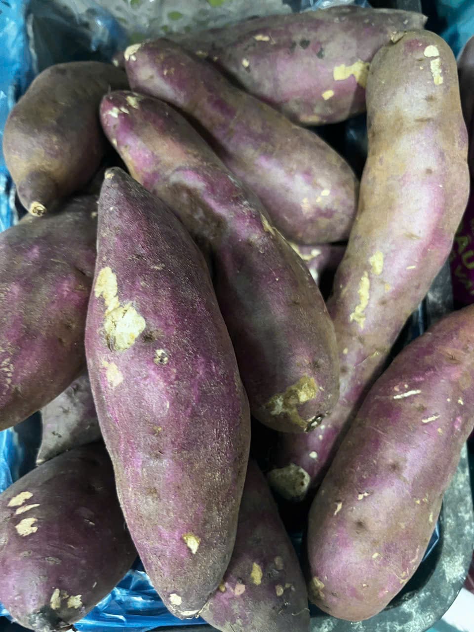Replacing white blood cells with sweet potatoes is one of the Mediterranean diets that help reduce fatty liver condition. Photo: Quang Minh.