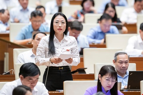 Ba Tran Khanh Thu - Doan Dai bieu Quoc hoi tinh Thai Binh cho rang, giao vien day them de tang thu nhap la nguyen vong chinh dang khi xa hoi co nhu cau. Anh: Quochoi.vn
