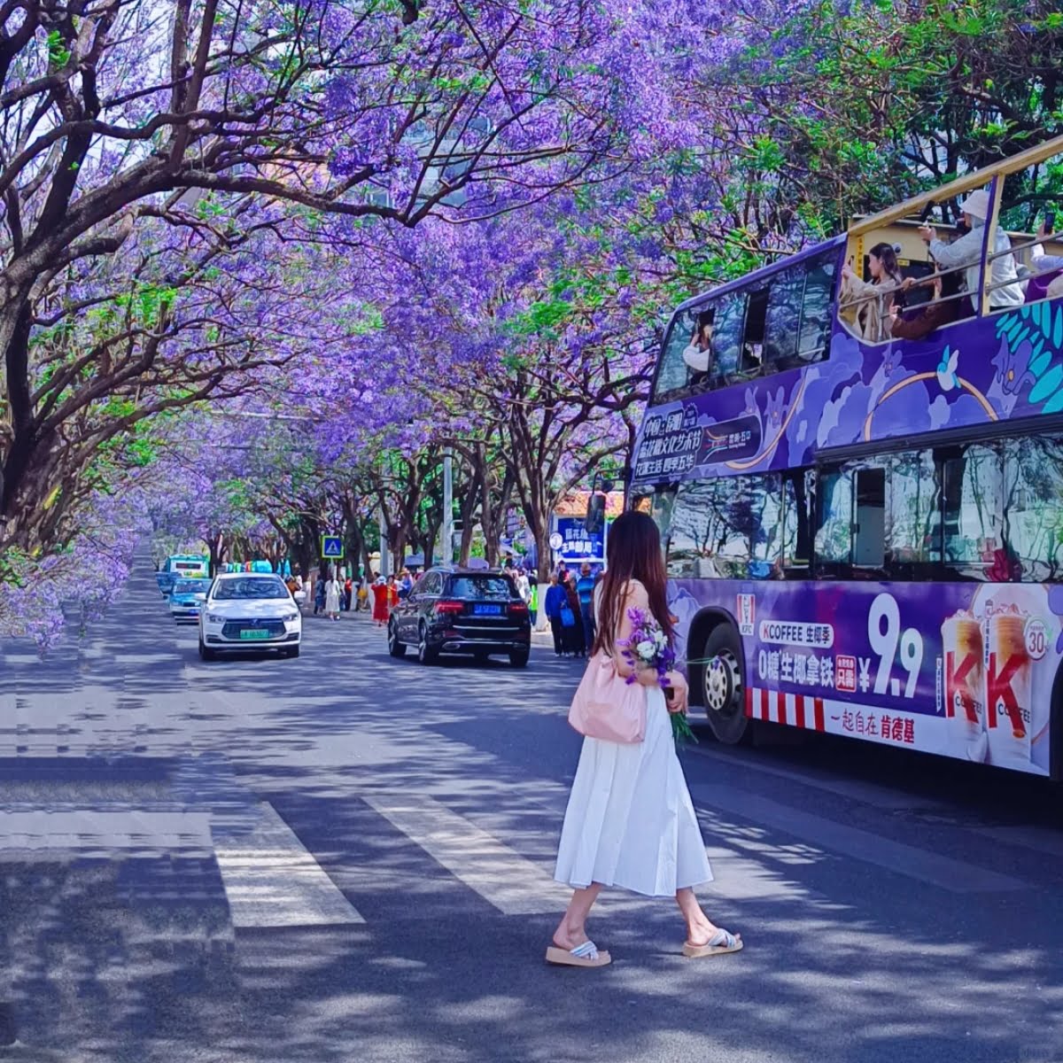 Mot trai nghiem doc dao khi den Con Minh mua hoa la tham gia tour xe buyt hai tang. Thoi gian hoat dong: Tu 8:00 den 18:00 hang ngay trong mua hoa (thang 4 den dau thang 5). De co nhung buc anh dep nhat, du khach nen chup vao khoang 8:00–10:00 sang hoac 16:00–18:00 chieu, khi anh sang diu nhe, giup mau sac cua hoa phuong tim tro nen ruc ro hon.