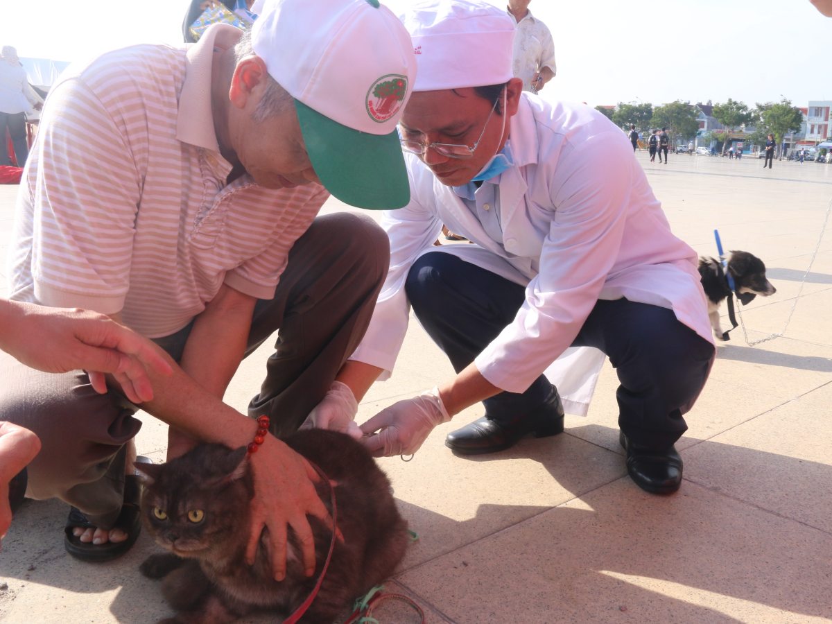 Ba Ria - Vung Tau has organized many rabies vaccinations in the province. Illustrative photo: Thanh An