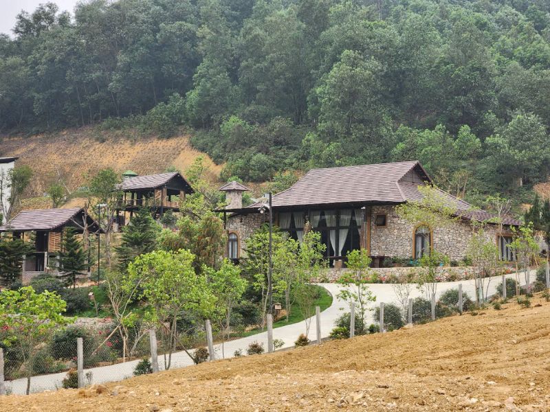 The authorities said they are resolutely handling illegal construction works in Tien Xuan commune, Thach That district (Hanoi). Photo: PV Group