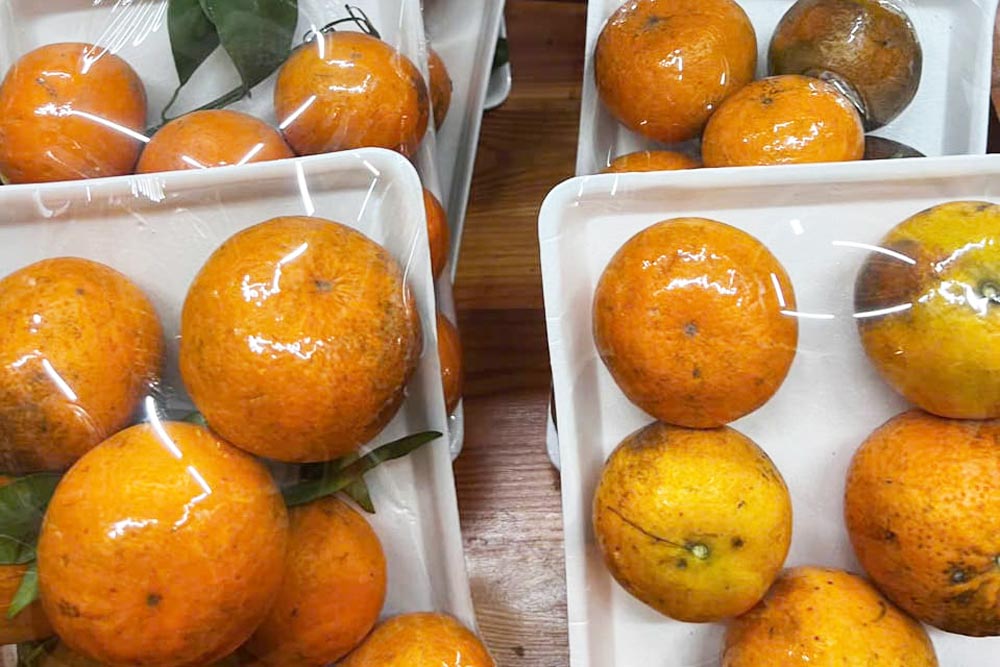 Orange juice is rich in vitamin C, which helps boost immunity and prevent hepatitis B. Photo: Quang Minh