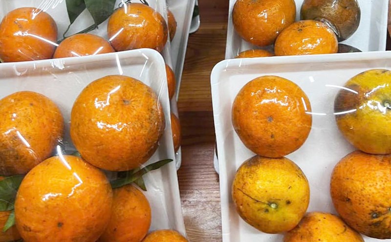 Orange juice is rich in vitamin C, which helps boost immunity and prevent hepatitis B. Photo: Quang Minh