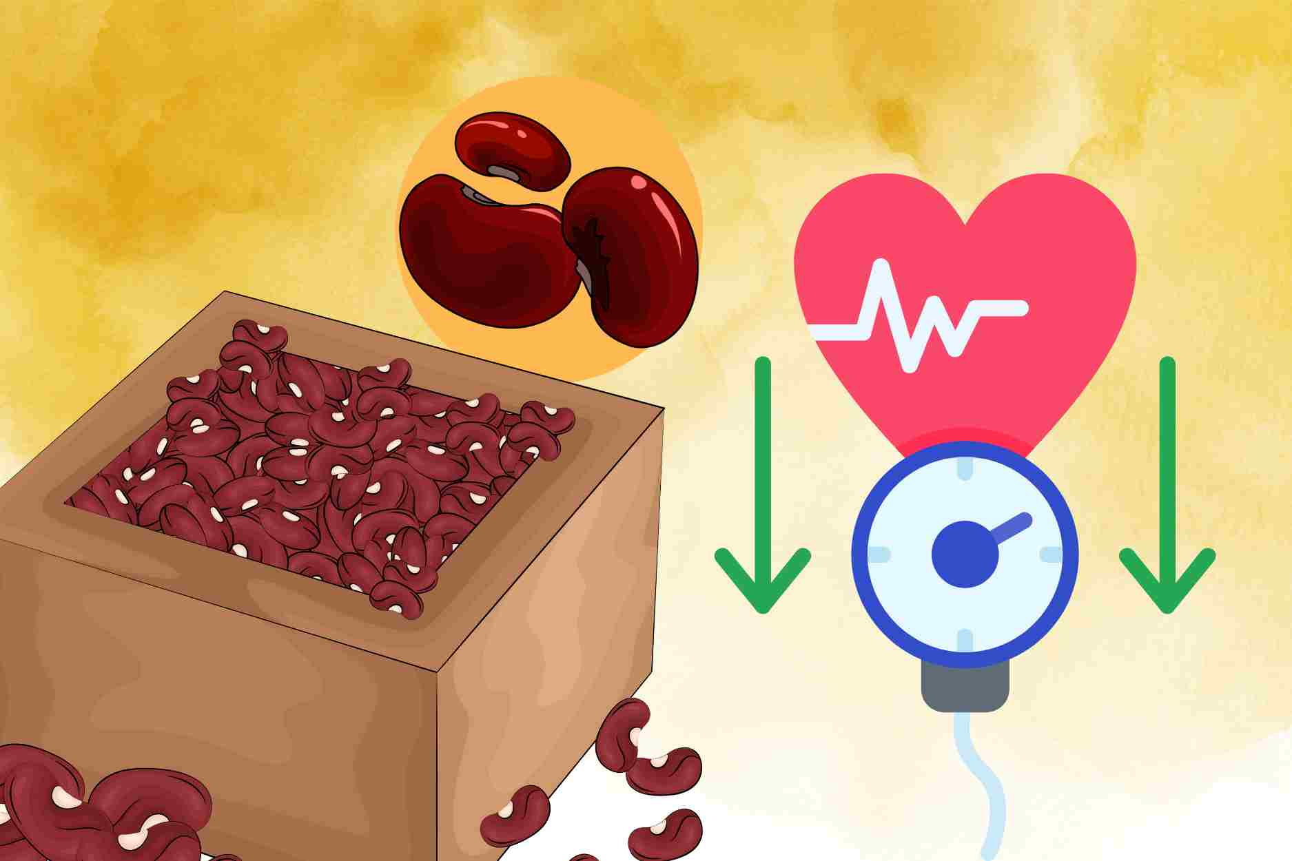 La hipertension baja con la variedad de guisantes que conocemos en la cocina. El dibujo: