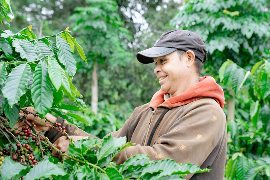 Coffee and rubber exports skyrocketed in early 2025. Photo: Bao Trung
