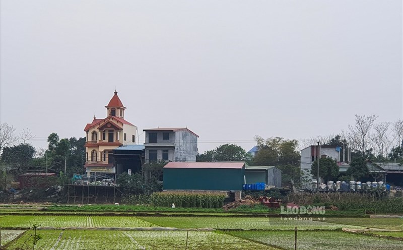 Trong một số trường hợp đặc biệt, công trình vi phạm có thể không bị tháo dỡ nếu đáp ứng đủ các điều kiện cụ thể.