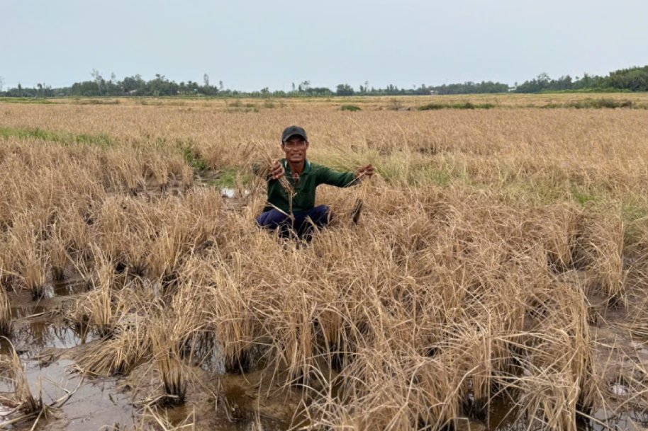 Dien tich bi thiet hai la 36,92ha. Anh: Ta Quang