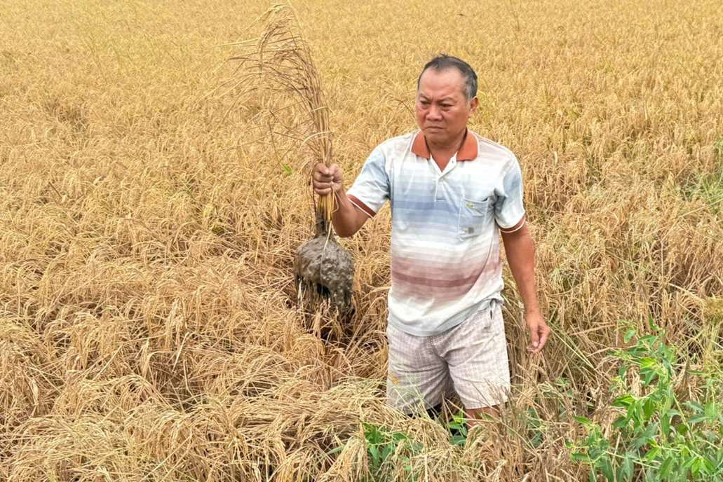 Gia dinh ong Tran Thong Minh bi thiet hai hoan toan 5 cong. Anh: Ta Quang