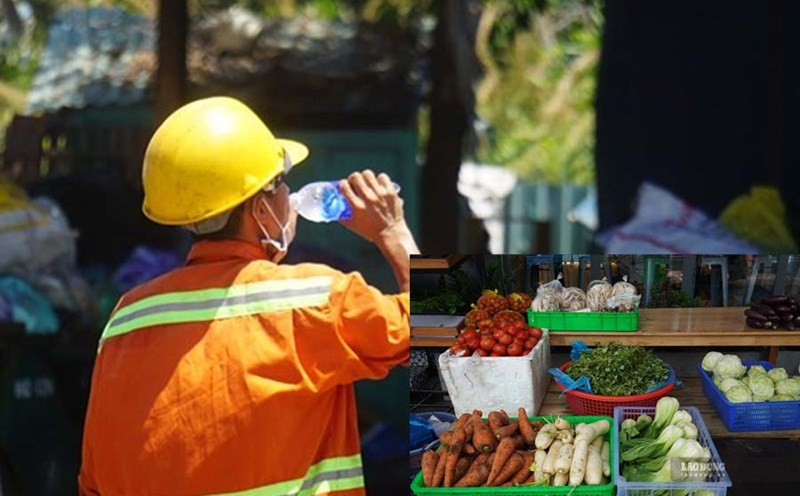 During the hot season, choosing the right foods not only helps cool the body but also maintains gut health and hormonal balance. Graphics: Cat Tien