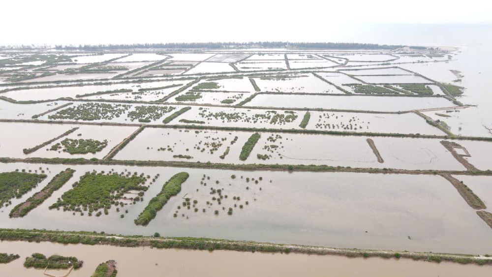 Khu đất trên 60ha từng được sử dụng để 