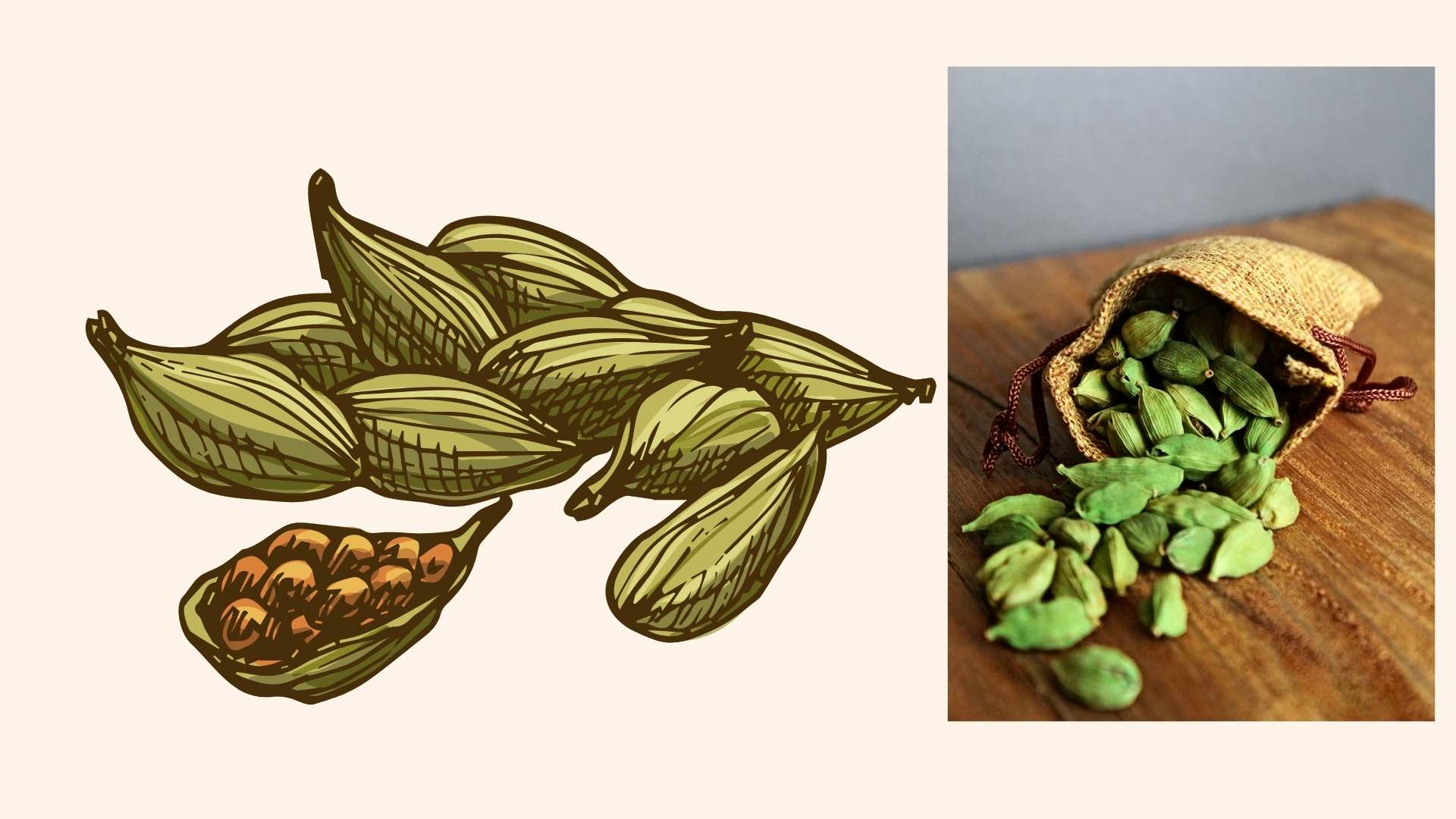 5 lợi ích của việc ăn thảo quả sau bữa tối. Đồ họa: Đinh Đinh