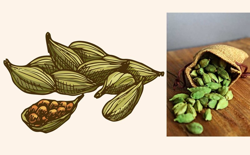 5 benefits of eating cardamom after dinner. Graphics: Dinh Dinh
