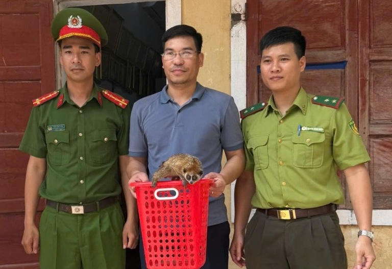 People hand over rare culi individuals to the authorities. Photo: Quang Binh Police