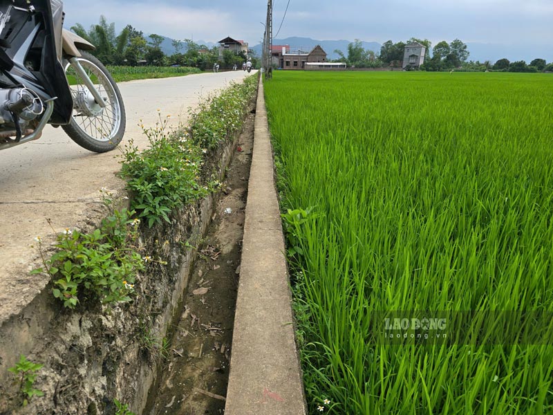 Muong tuoi tieu noi dong tai xa Hoang Tung kho nuoc. Anh: Tan Van