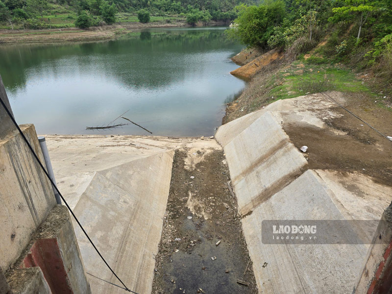 Muchas areas de flores de color en la Alta Llanura enfrentan el riesgo de sequia. Imagen de la pagina web de la organizacion