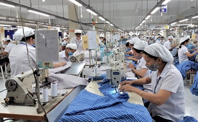The Trade Union shall preside over supervision in the form of research, reviewing documents and reports of employers, agencies and organizations under supervision. Photo: Nam Duong