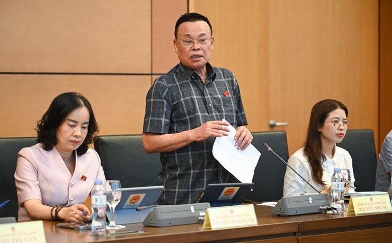 National Assembly delegate Nguyen Nhu So said that the case of nearly 600 types of fake milk shows lax management. Photo: Pham Dong