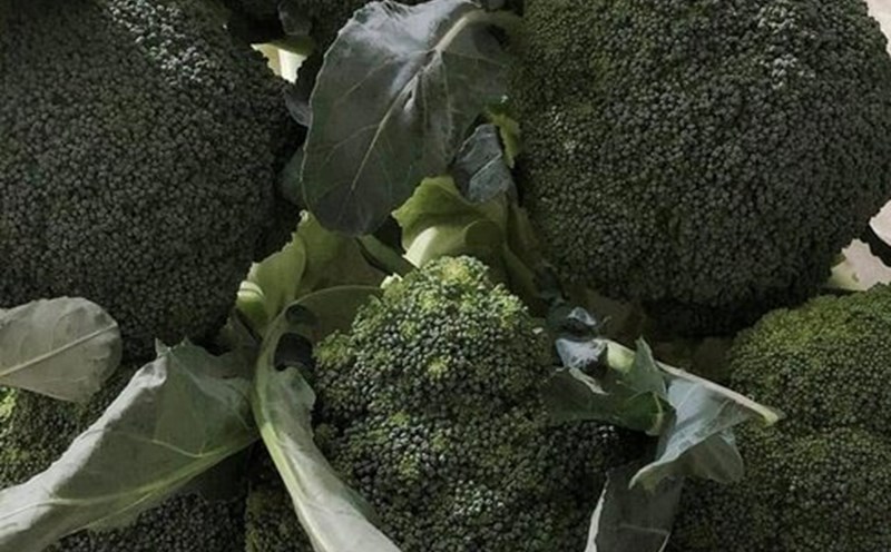Broccoli is one of the green vegetables containing antioxidants that can help detoxify the liver. Photo: Kieu Vu