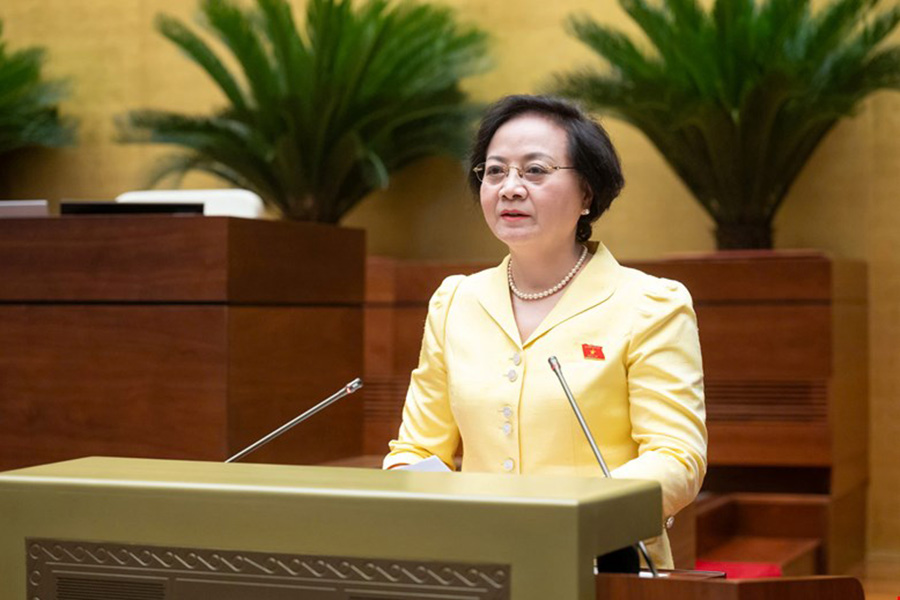 Bo truong