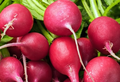 Beetroot will be a "powerful aid" in the process of reducing belly fat if processed properly. Photo: Nghia Thanh