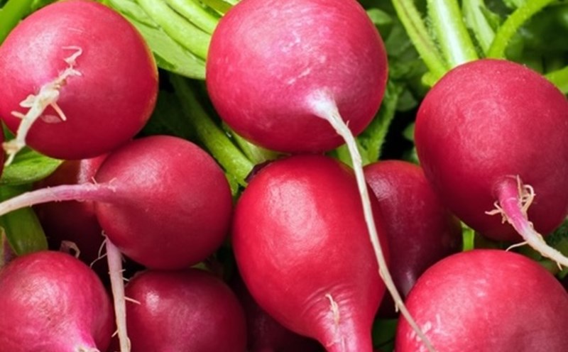 Beetroot will be a "powerful aid" in the process of reducing belly fat if processed properly. Photo: Nghia Thanh