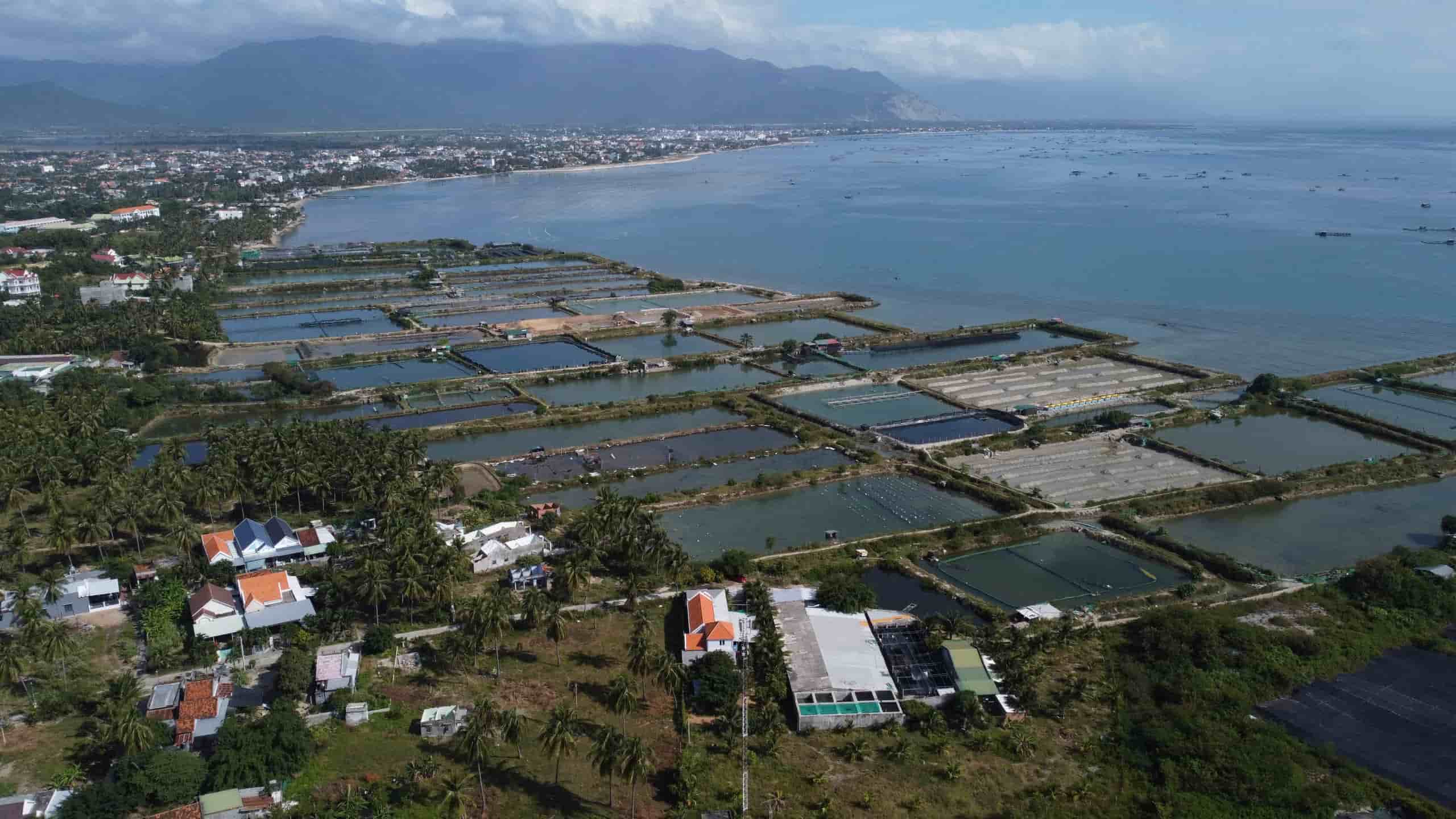 Cuatro proyectos de complejos urbanos en Cam Lin comenzaran en noviembre de 2025. Imagen de Hyo Long
