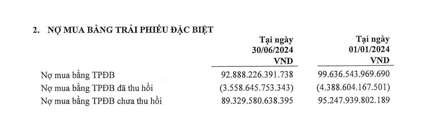 Tong du no mua bang trai phieu dac biet (TPDB) – cong cu chu luc ma VAMC su dung de gom no xau tu cac to chuc tin dung – tinh den ngay 30.6.2024 van con hon 89.329 ti dong. Nguon anh trich chup bao cao tai chinh VAMC ban nien 2024.