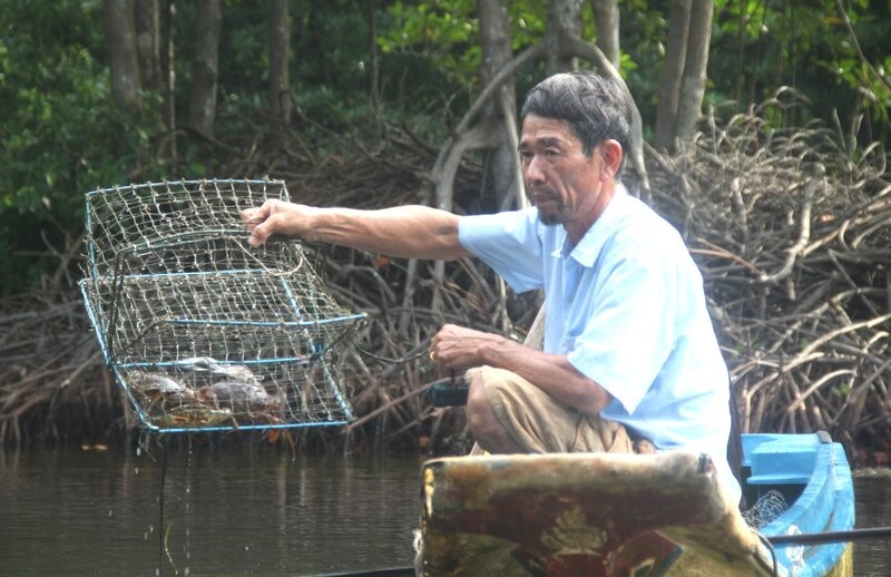 Voi dien tich co the len den 260.000 ha, Ca Mau co dien tich nuoi cua lon nhat nuoc, nhung chu yeu nuoi xem canh. Anh: Nhat Ho