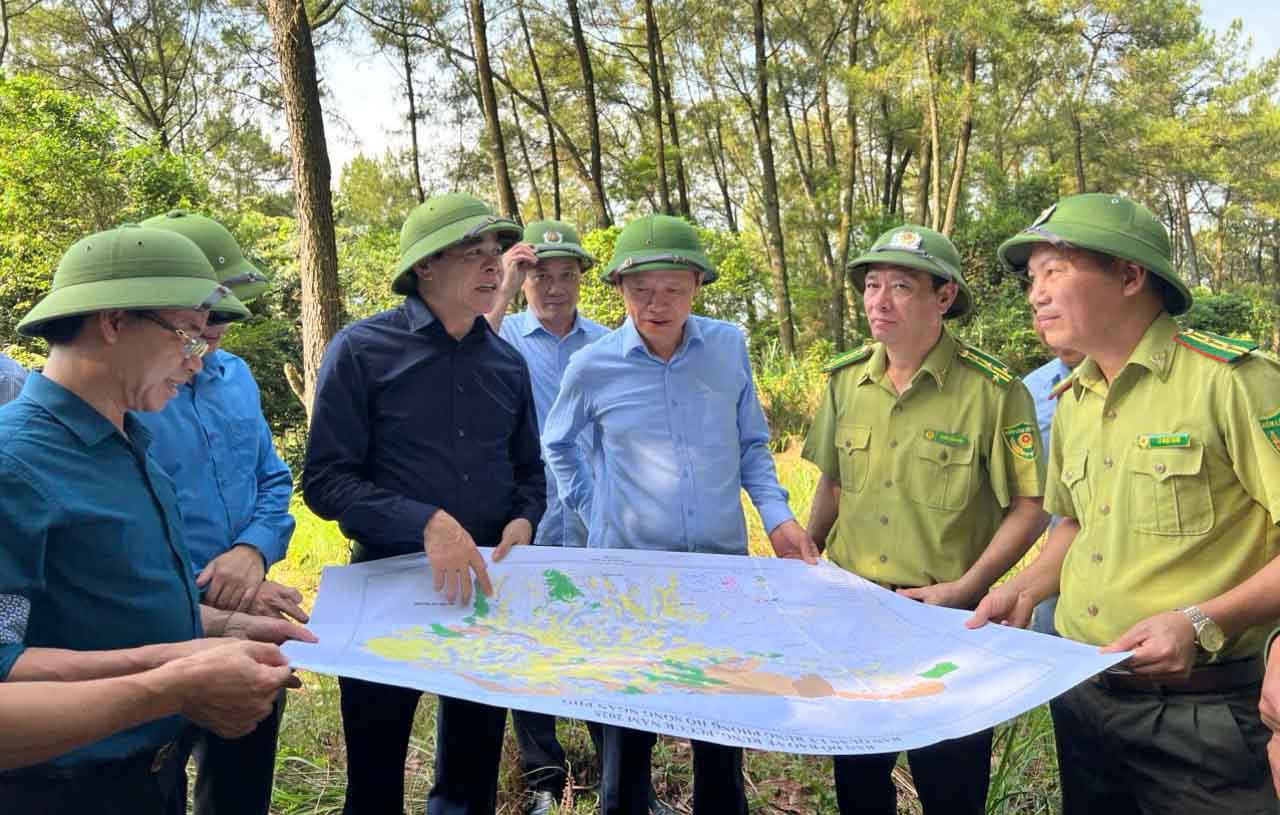 El presidente del Comite Popular de la Provincia de Ha Tinh (Camisa Negra) y los miembros de la delegacion inspeccionaron la prevencion de incendios forestales en el distrito de Huong Son. Foto: Bich Lien.