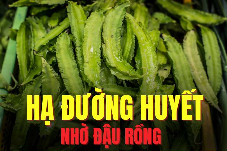 Las semillas de soja son un alimento rico en proteinas, fibra, minerales y antioxidantes. El dibujo: Mi te