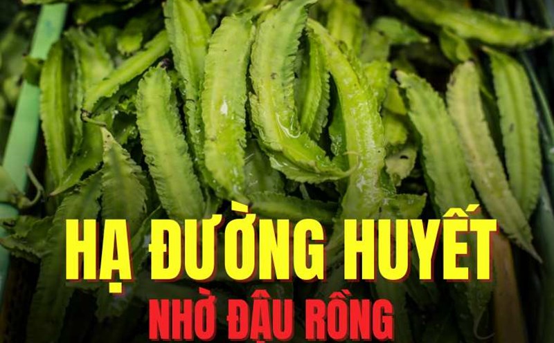 Dragon beans are a food that contains a lot of protein, fiber, minerals and antioxidants. Graphics: Tra My